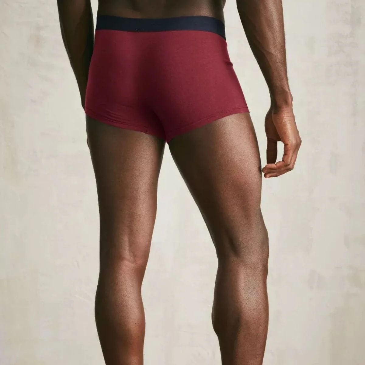 Boxer français grenat - Image 4