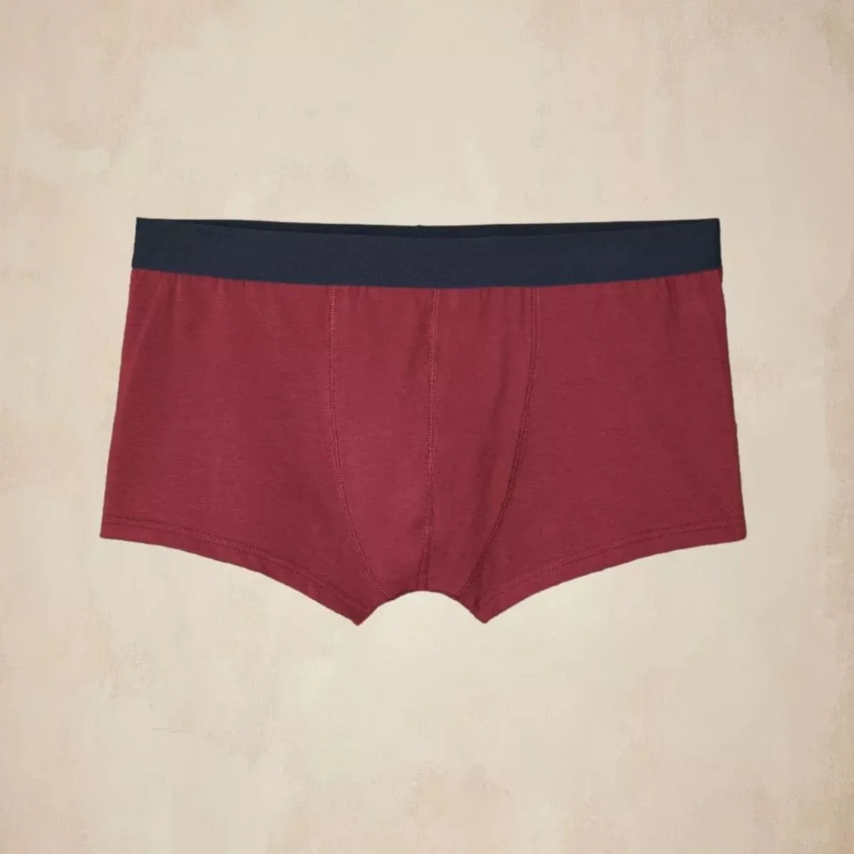 Boxer français grenat - Image 5