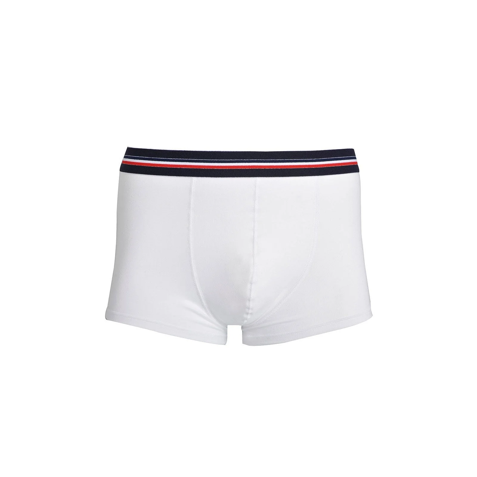 Boxer français blanc - Image 4
